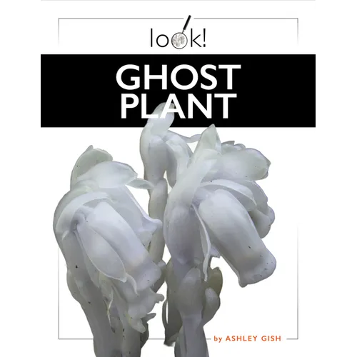 Ghost Plant
