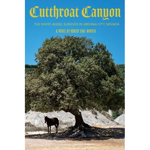 Cutthroat Canyon: The White Angel Survives In Virginia City, Nevada