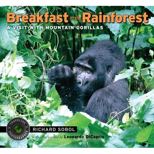 Breakfast in the Rainforest: A Visit with Mountain Gorillas
