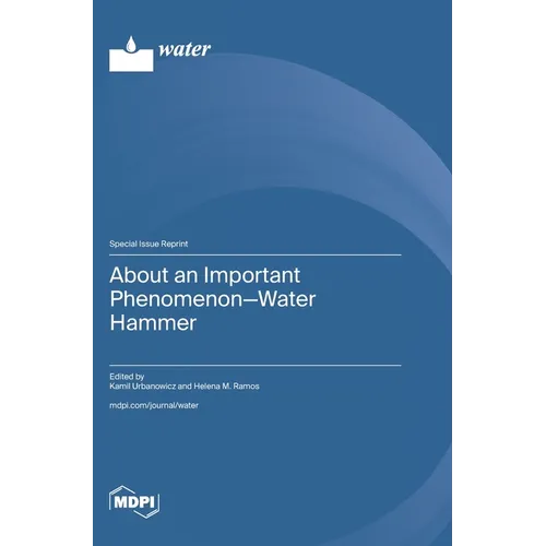 About an Important Phenomenon-Water Hammer