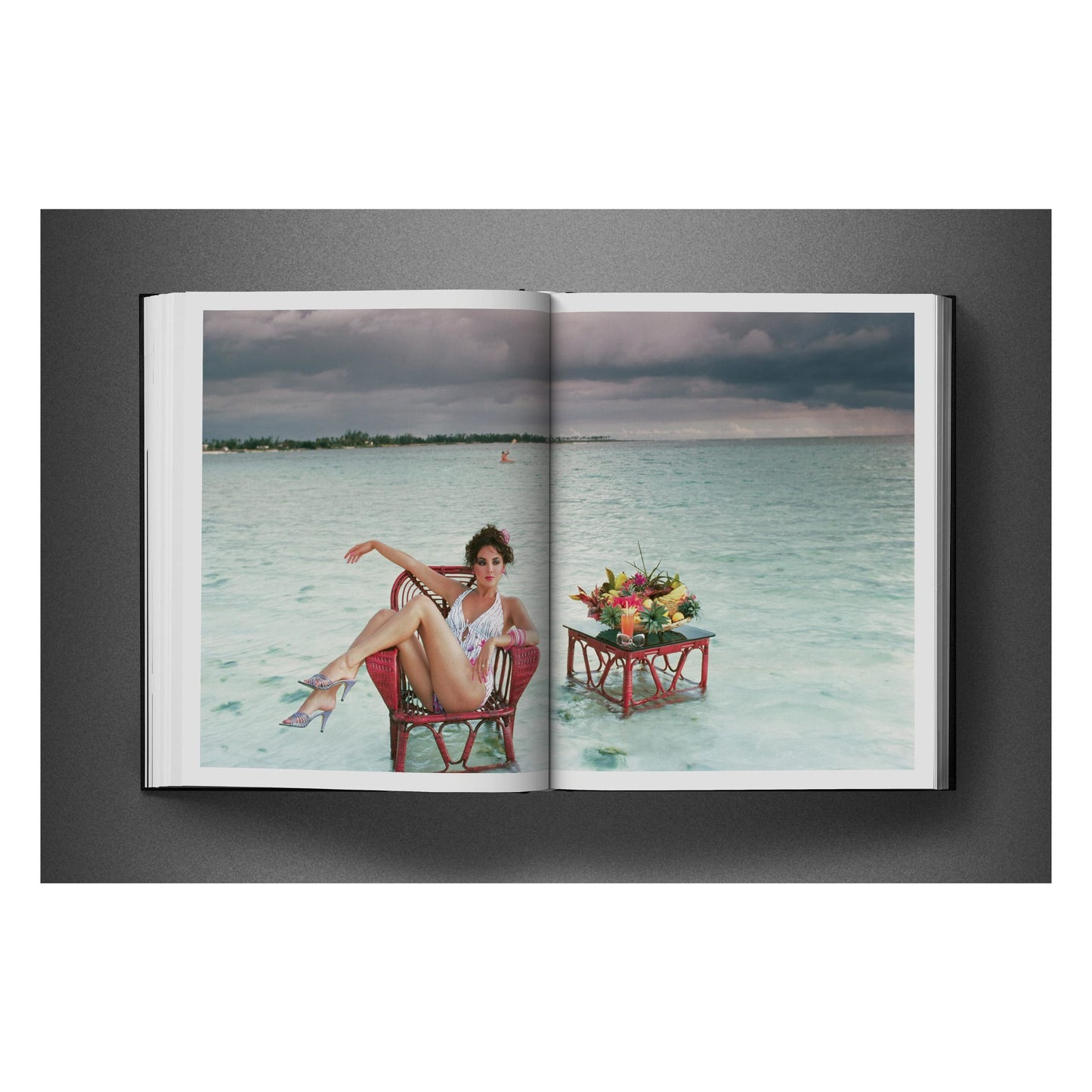 David Bailey. Eighties (English) Book
