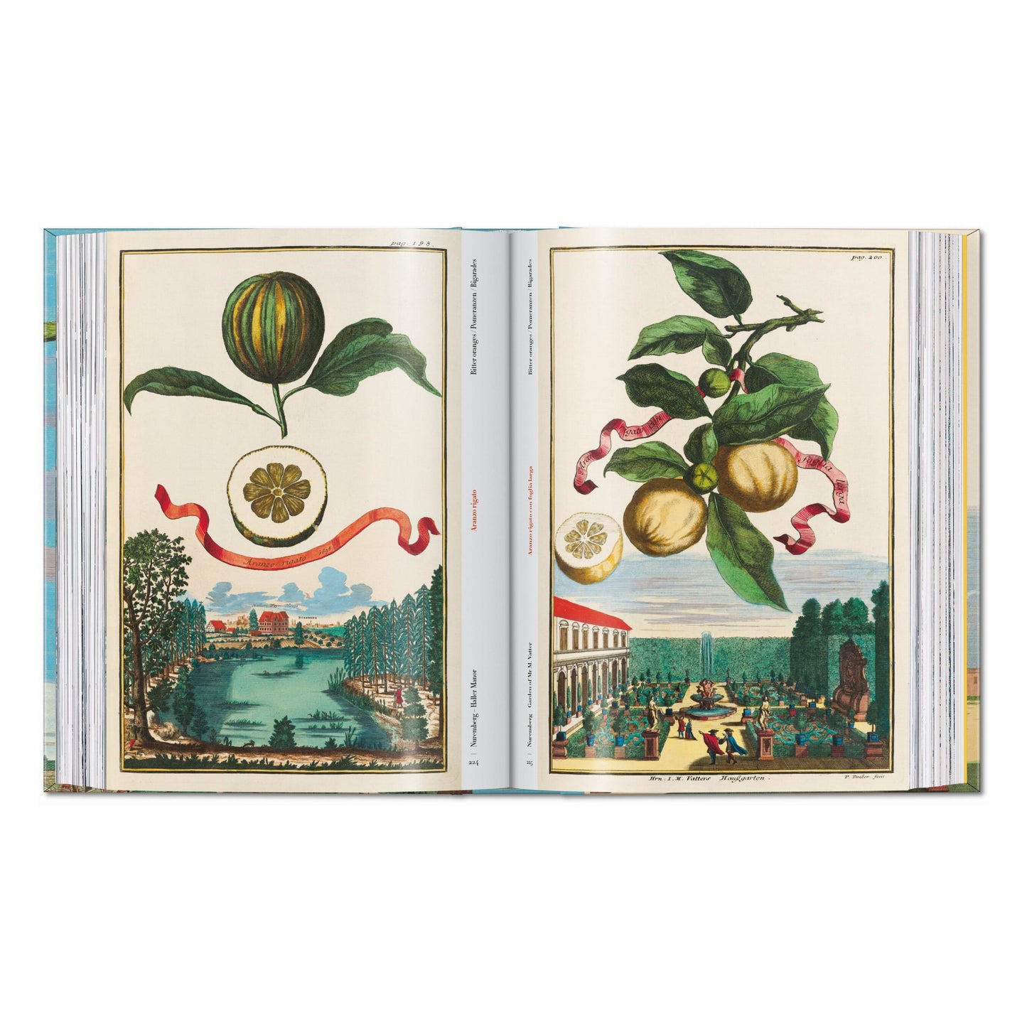 J. C. Volkamer. The Book of Citrus Fruits. 45th Ed. (German, French, English) Book