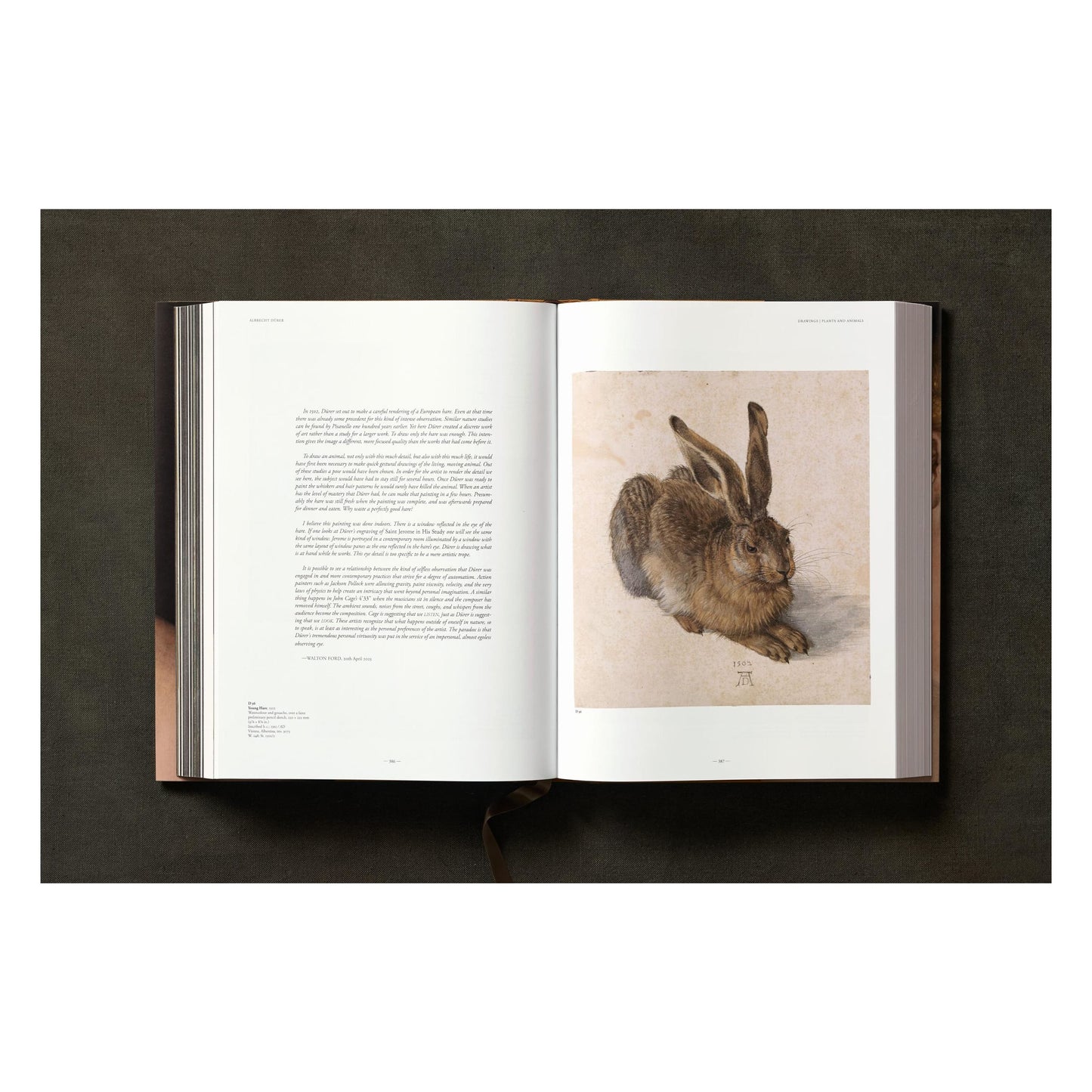 Albrecht Dürer. The Complete Paintings. Selected Drawings and Prints (English) Book