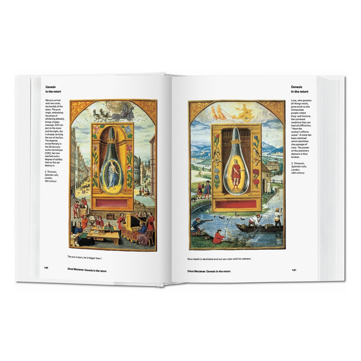 Alchemy & Mysticism (English) Book