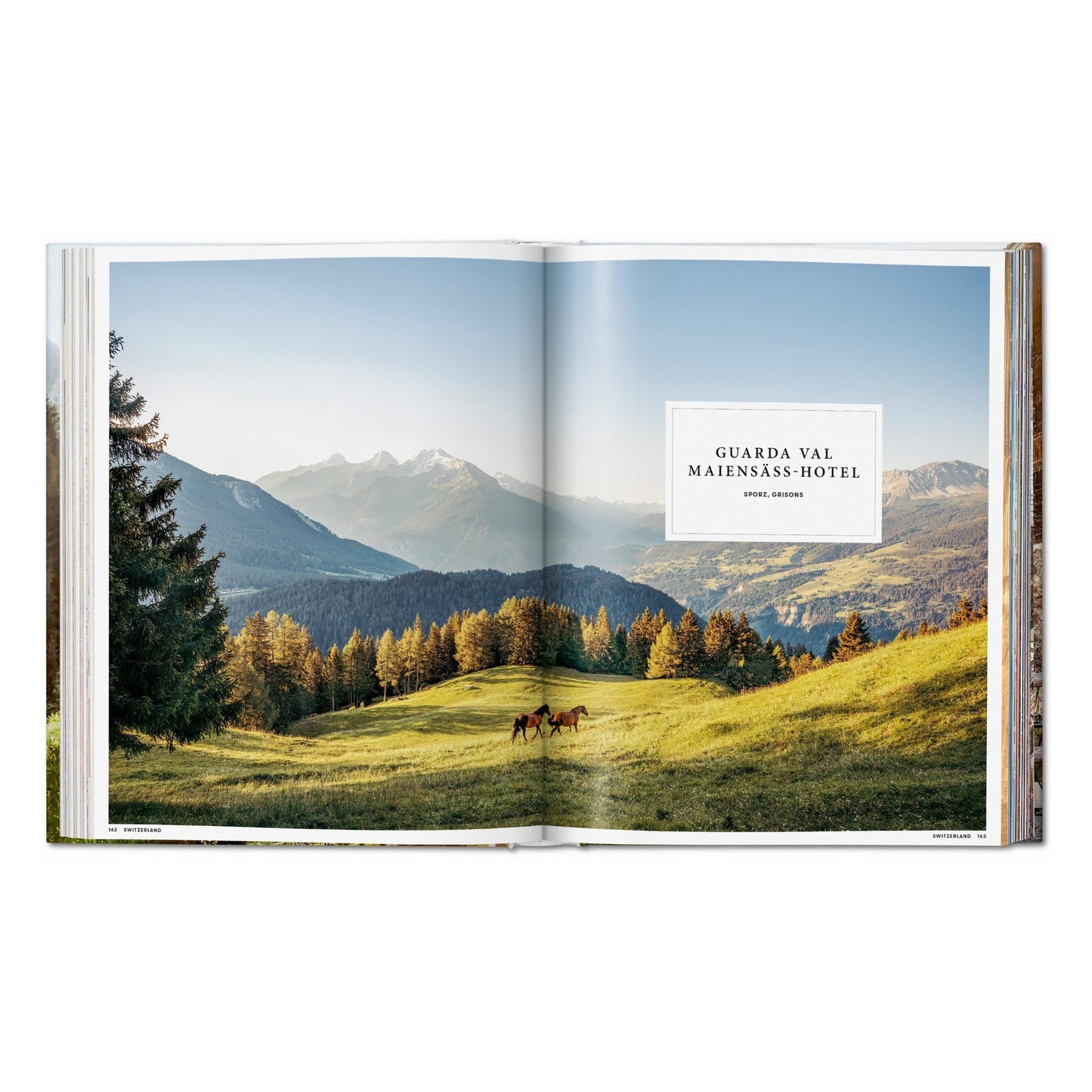Great Escapes Alps. The Hotel Book (German, French, English) Book