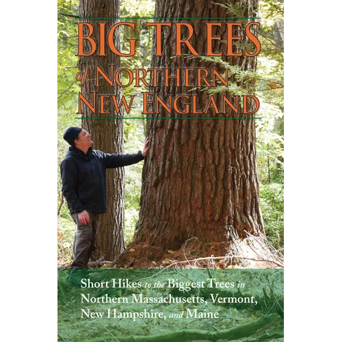 Big Trees of Northern New England