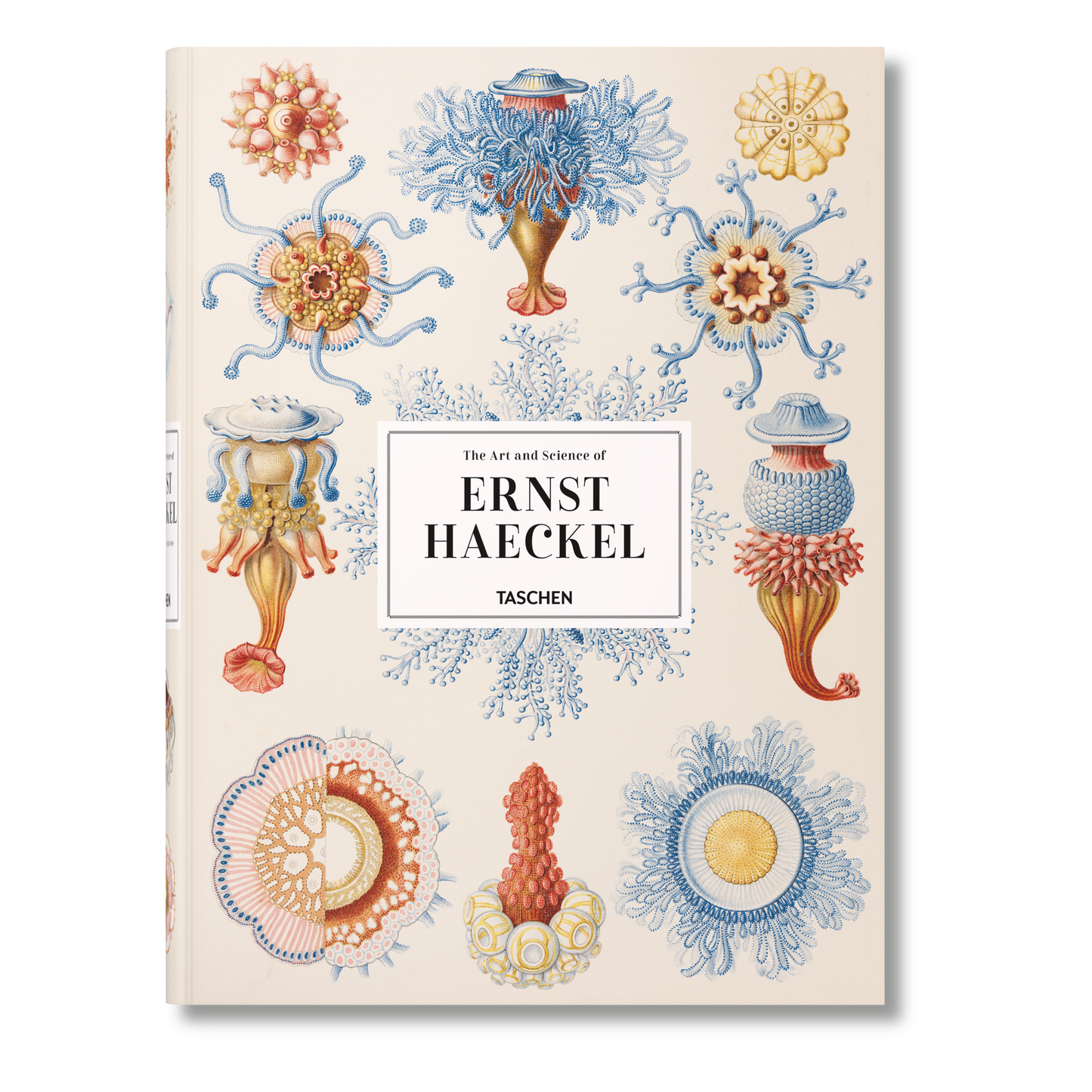 The Art and Science of Ernst Haeckel (German, French, English) Book