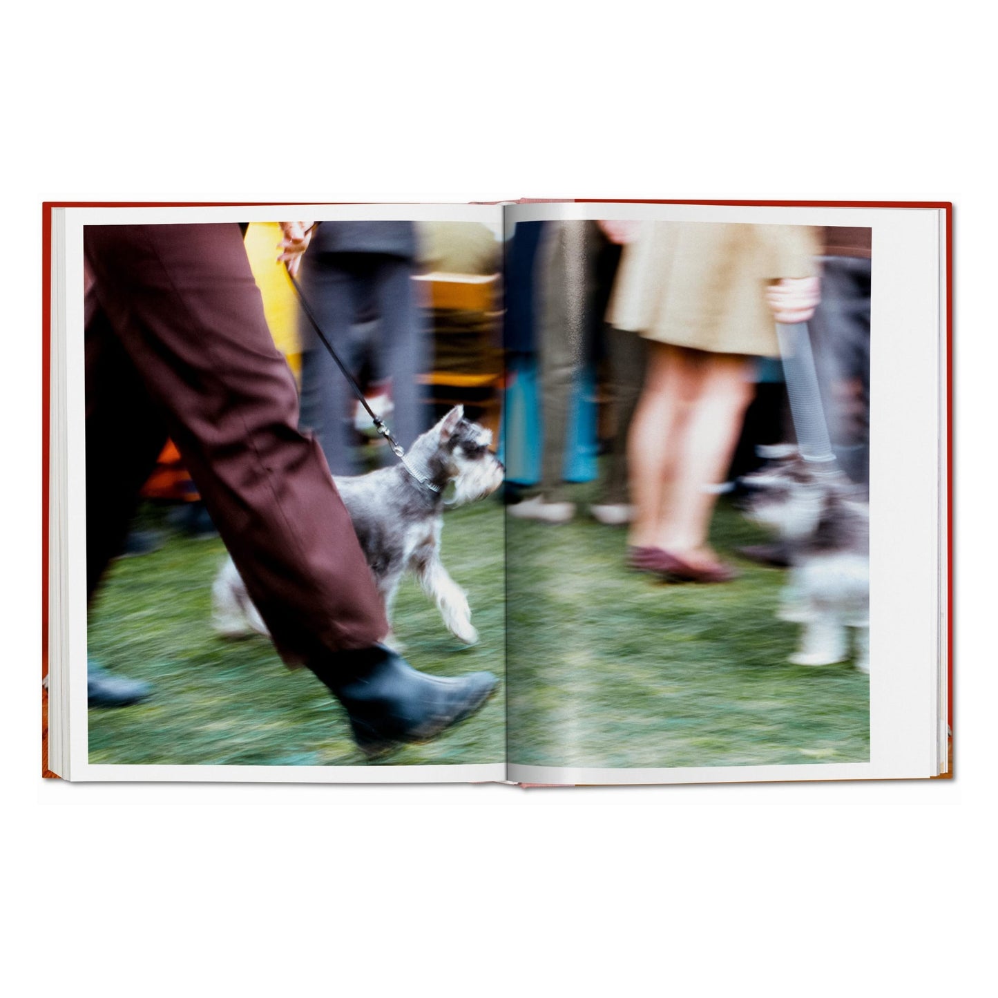 Walter Chandoha. Dogs. Photographs 1941–1991 (German, French, English) Book