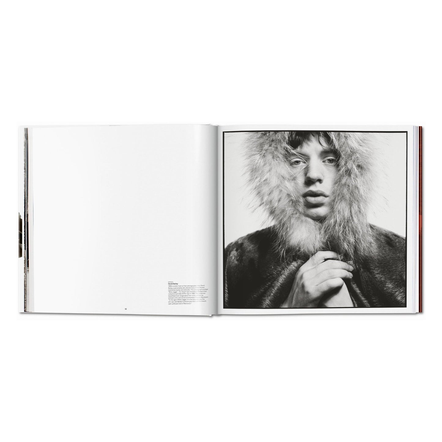 The Rolling Stones. Updated Edition (English) Book