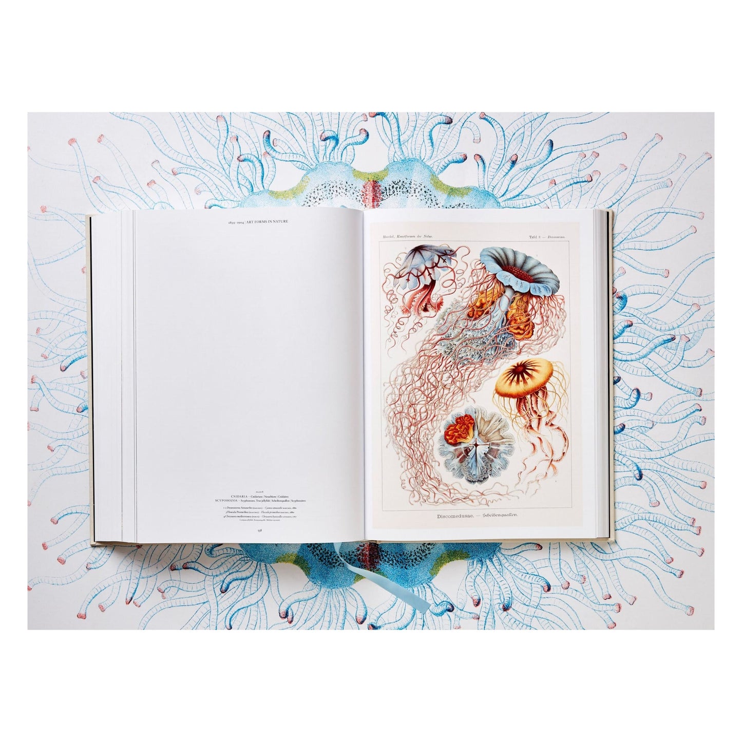 The Art and Science of Ernst Haeckel (German, French, English) Book