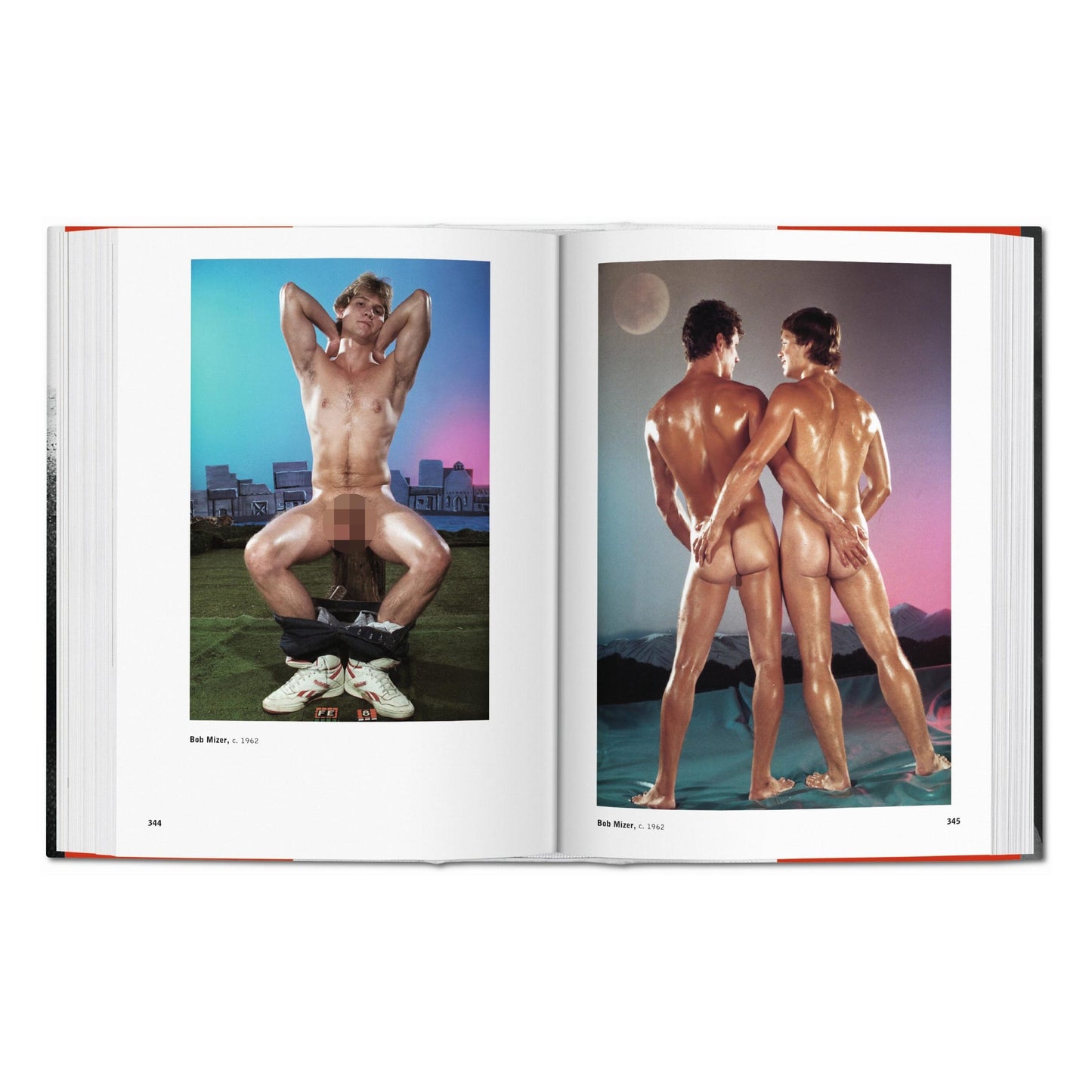 The Male Nude (German, French, English) Book