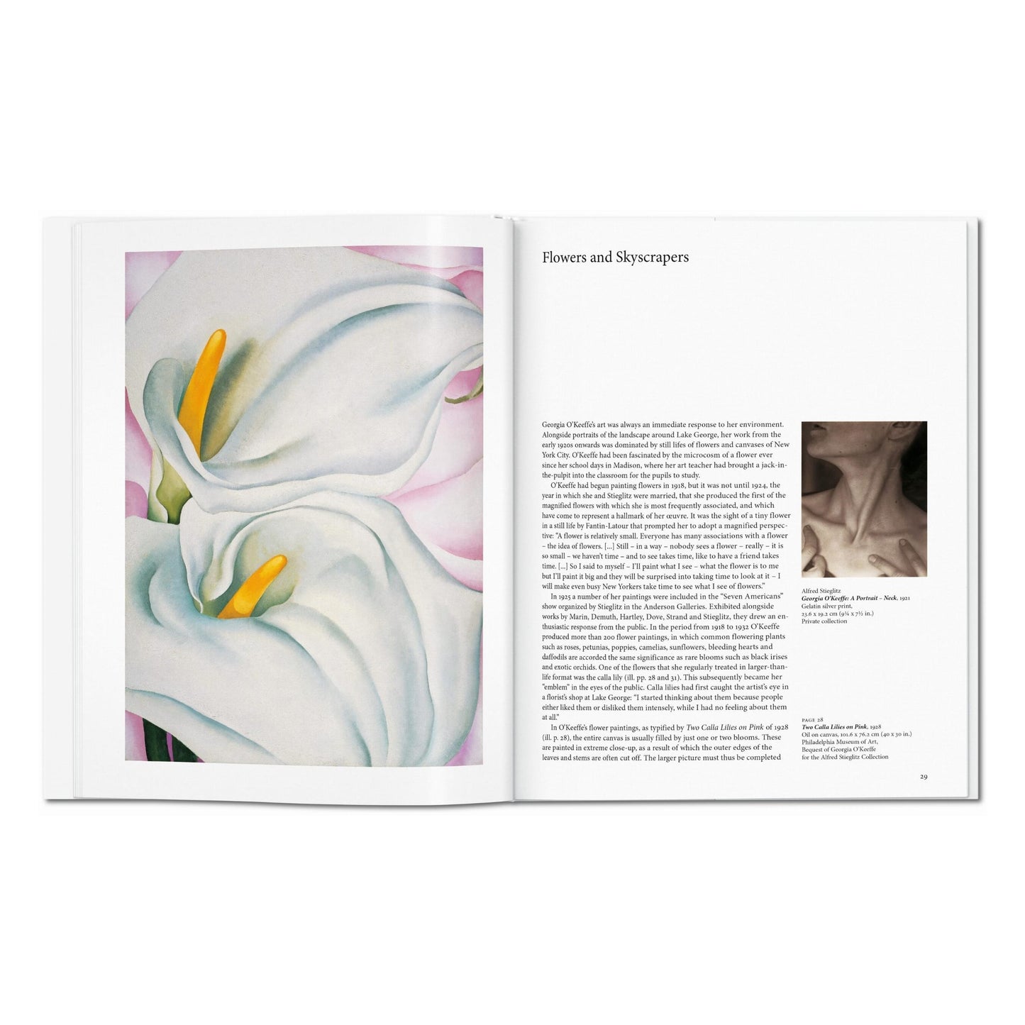 O'Keeffe (English) Book