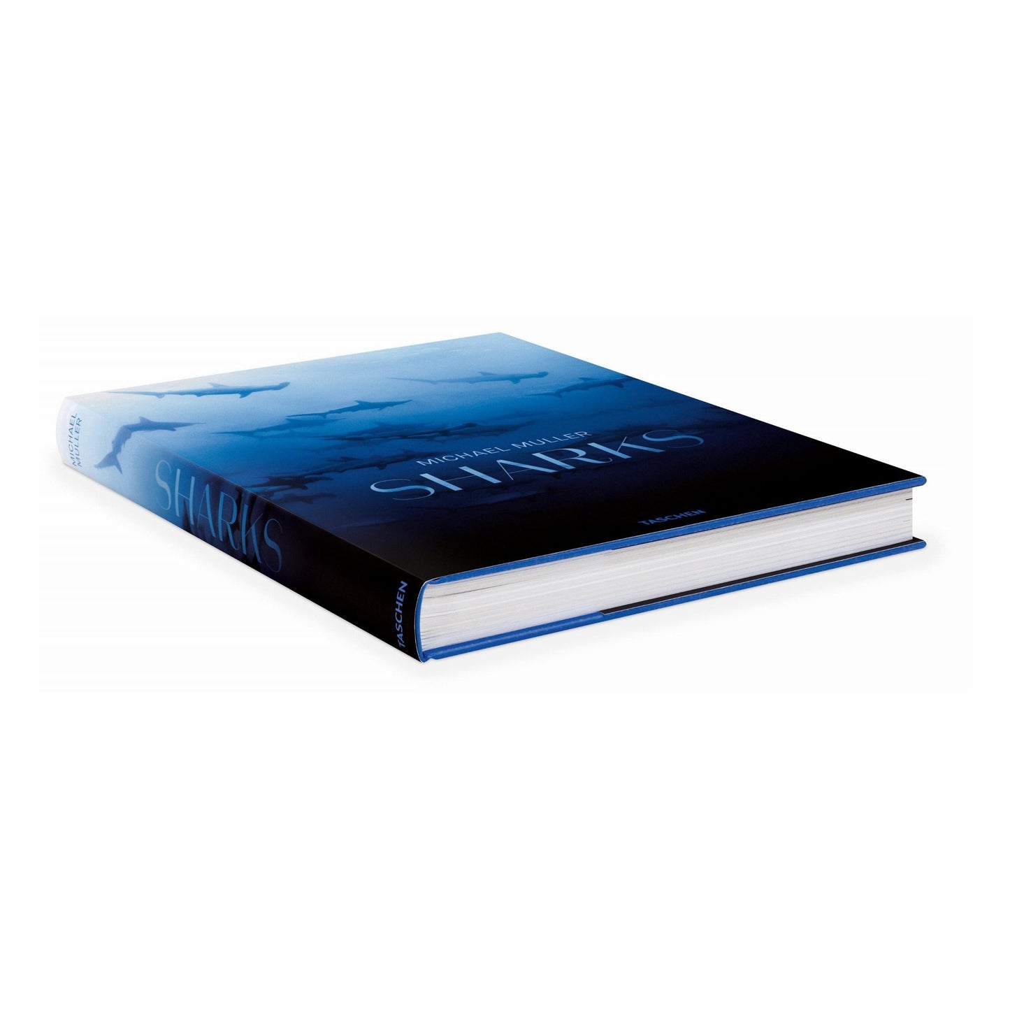 Michael Muller. Sharks (English) Book