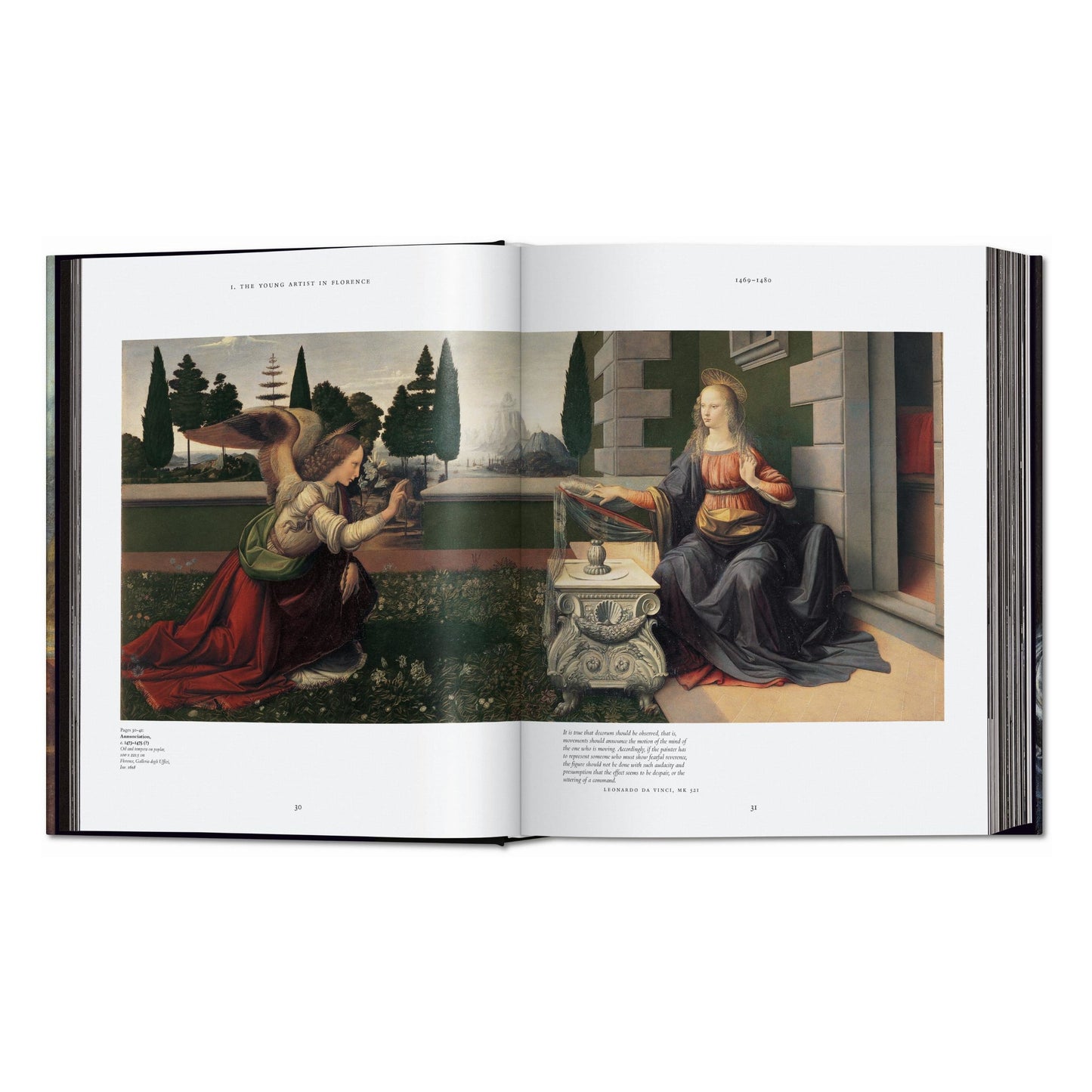 Leonardo. The Complete Paintings and Drawings (English) Book
