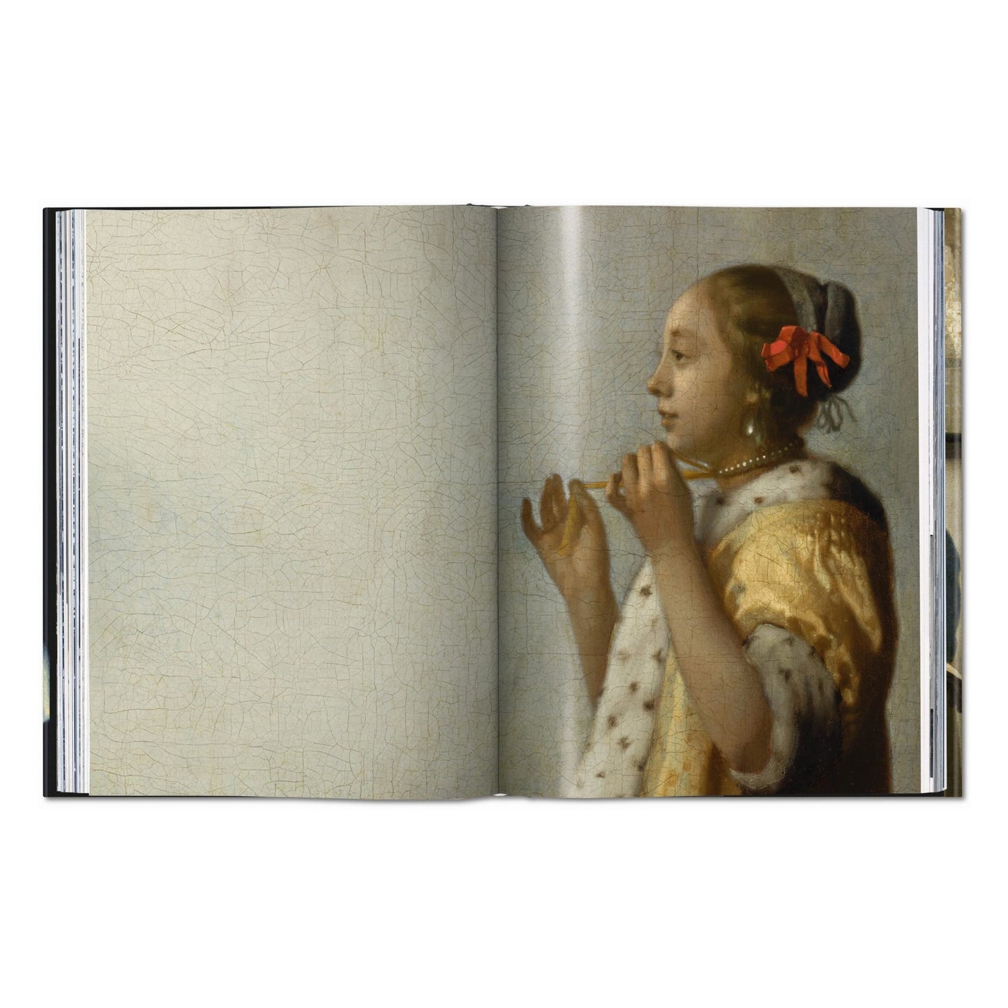 Vermeer. The Complete Works (English) Book