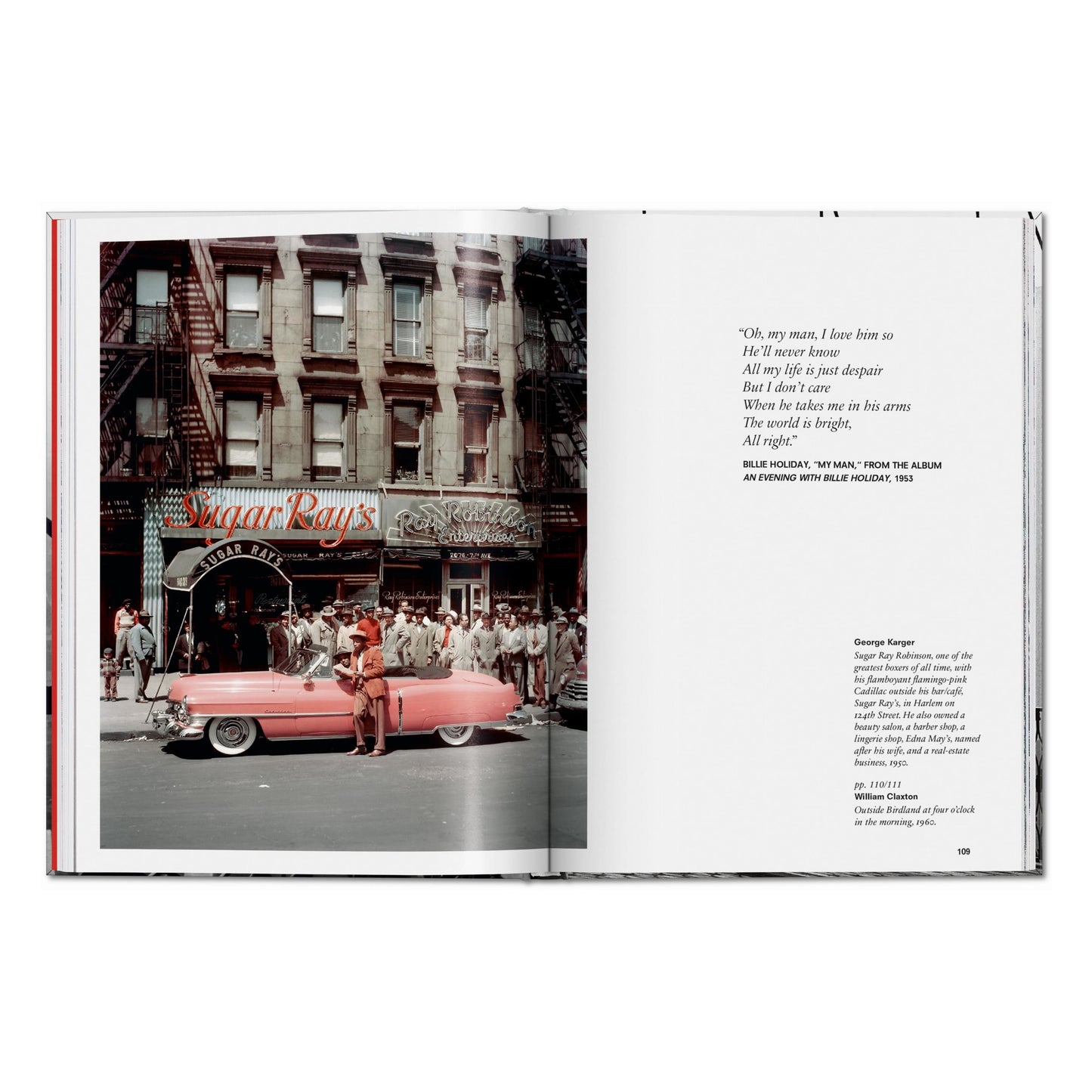 New York. Portrait of a City (English) Book