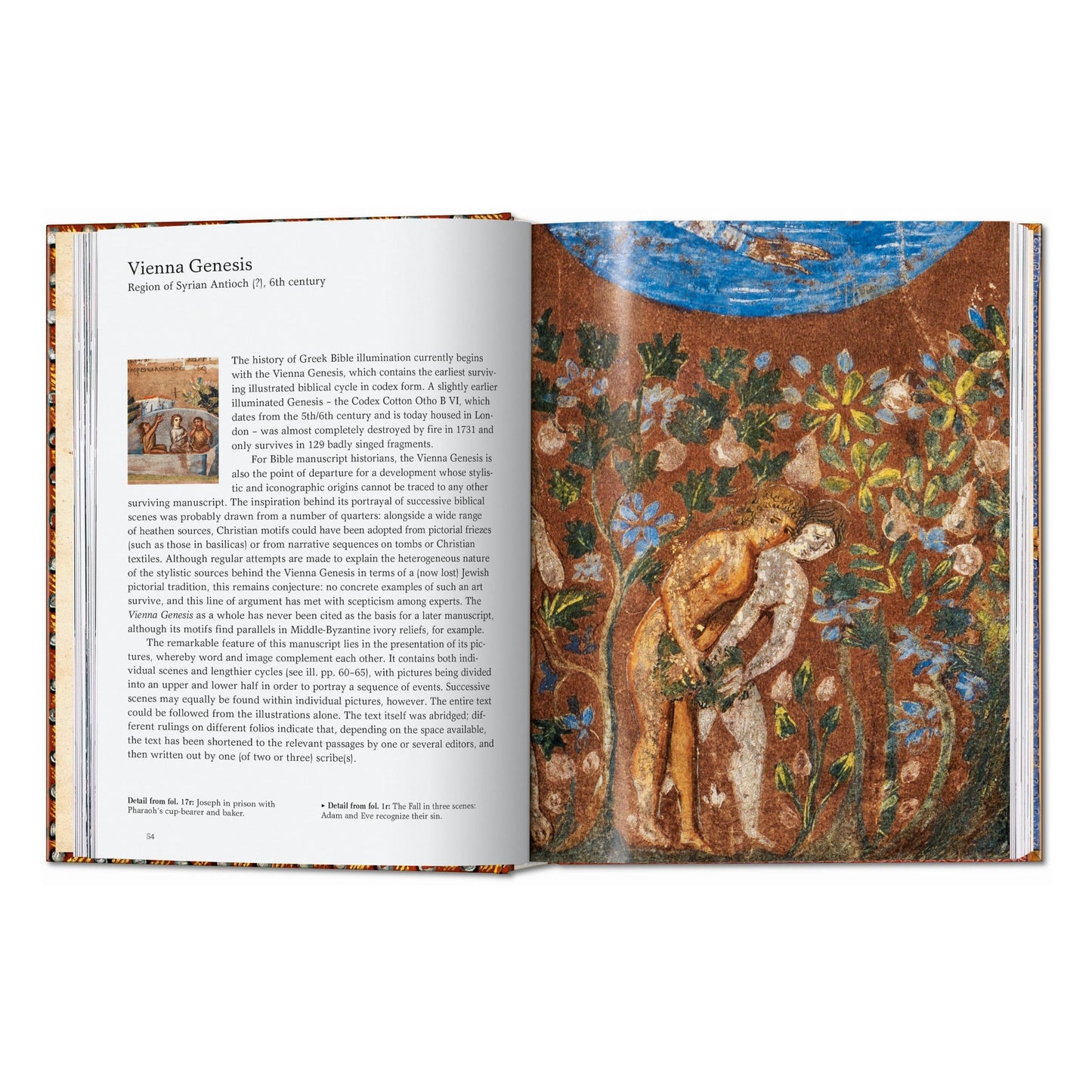 The Book of Bibles. 45th Ed. (English) Book