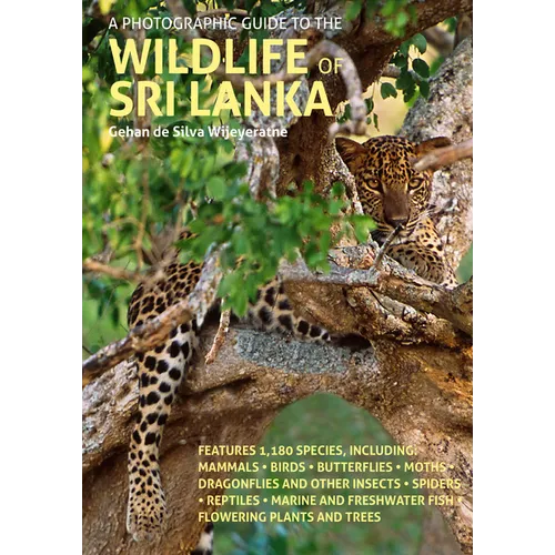 A Photographic Guide to the Wildlife of Sri Lanka