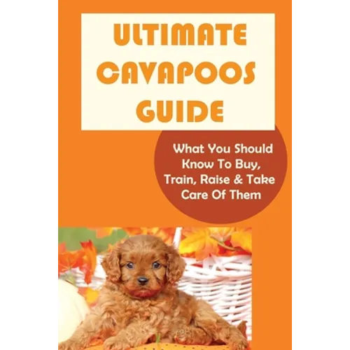 Ultimate Cavapoos Guide: What You Should Know To Buy, Train, Raise & Take Care Of Them: Cavapoo Living Needs