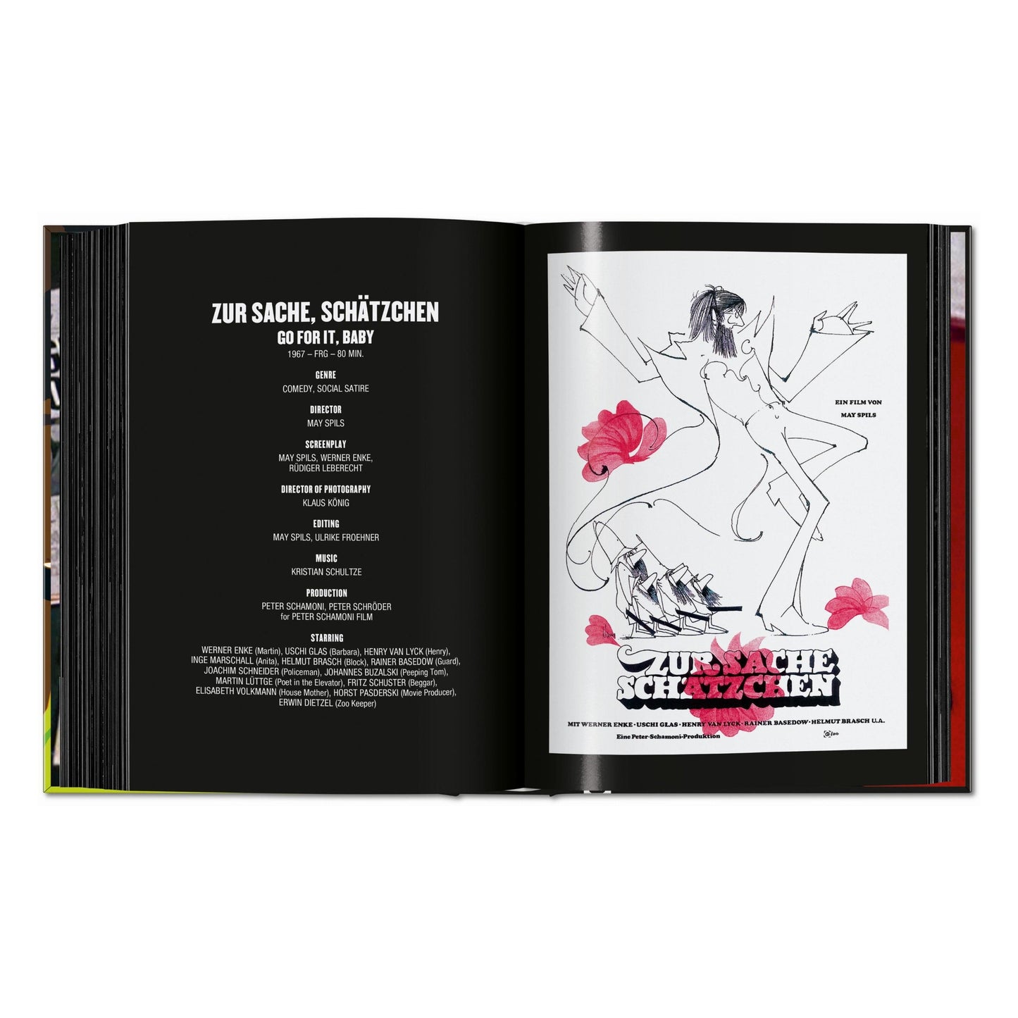 100 Movies of the 1960s (English) Book