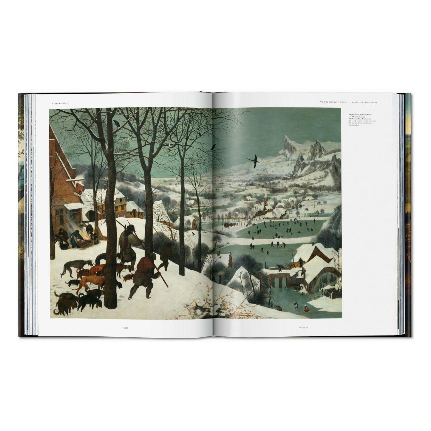 Bruegel. The Complete Works (English) Book