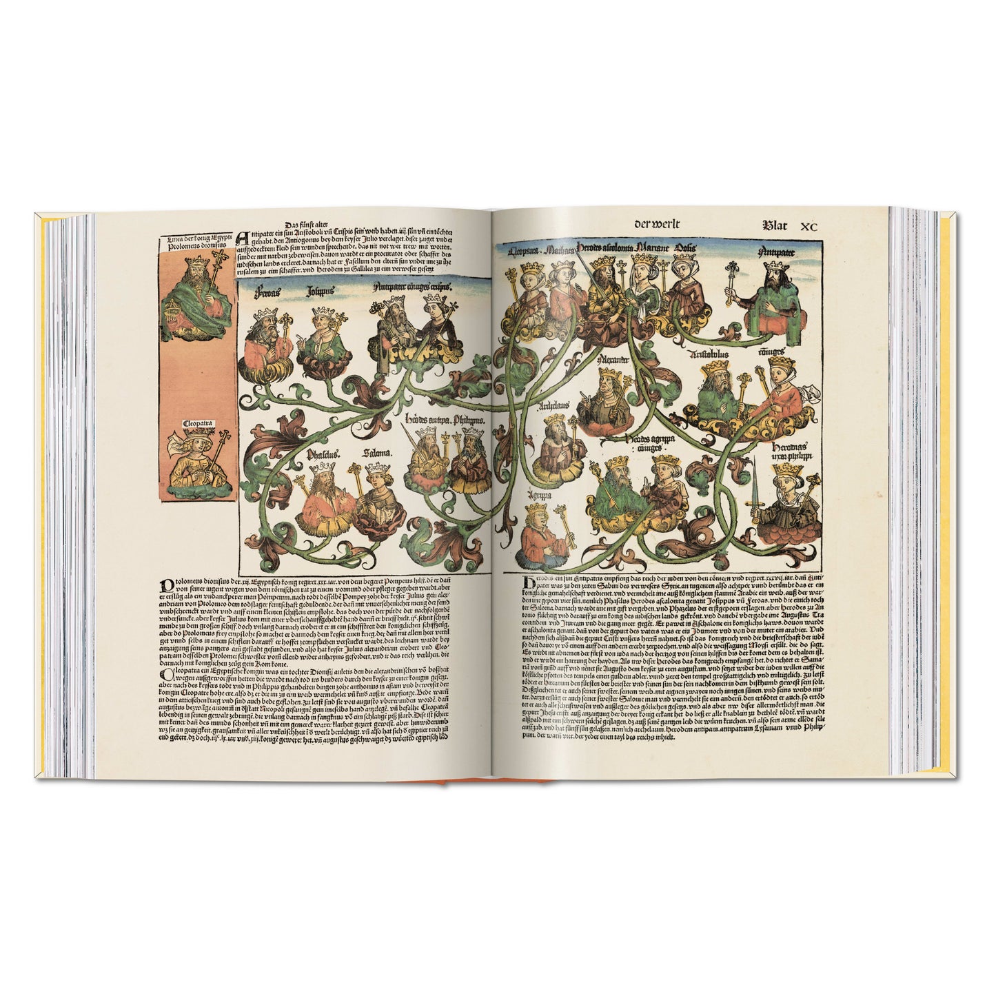 Hartmann Schedel. Chronicle of the World 1493 (English) Book