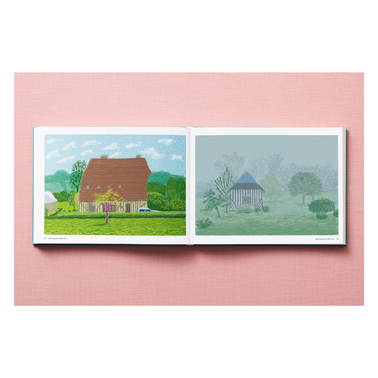 David Hockney. 220 for 2020 (English) Book