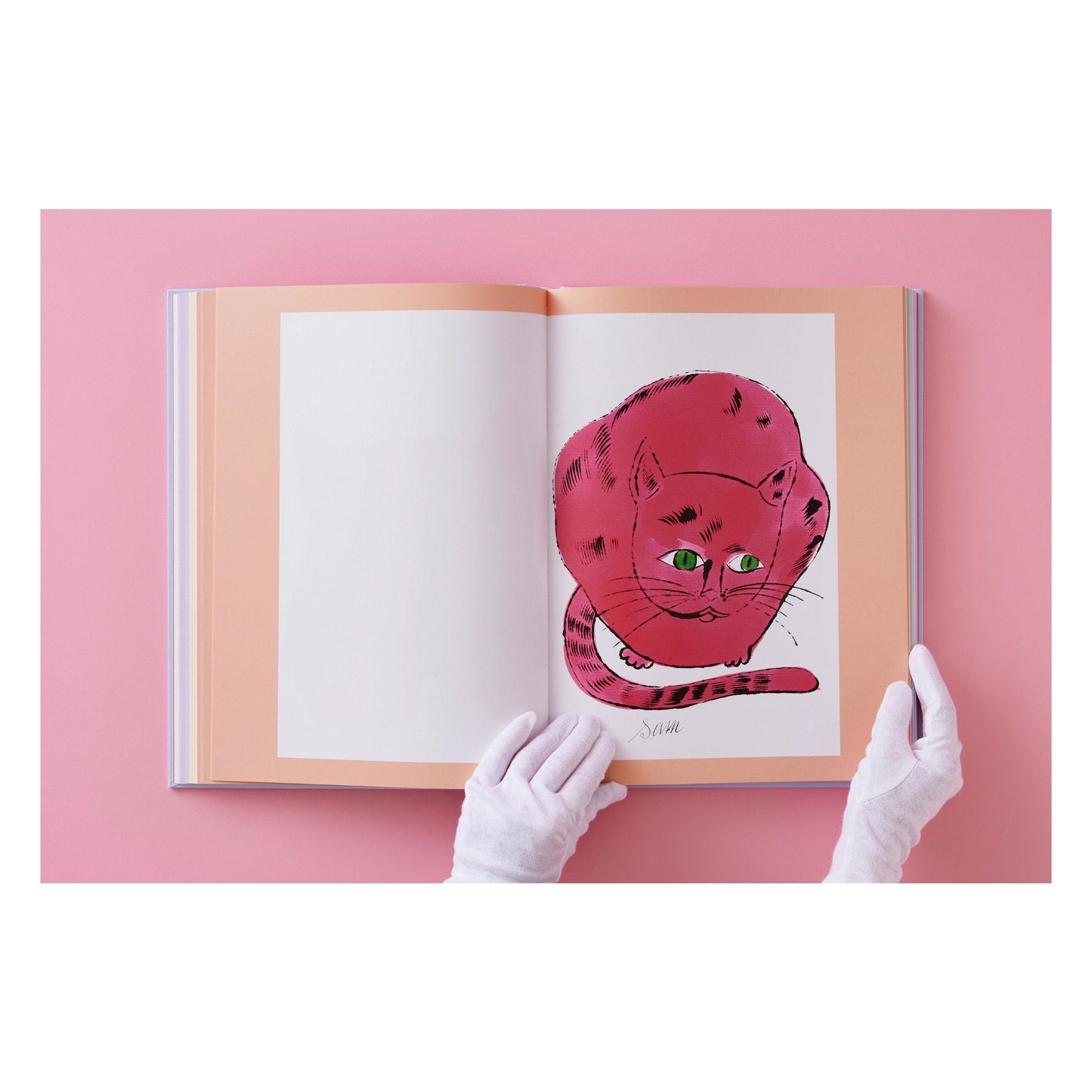 Andy Warhol. Seven Illustrated Books 1952–1959 (German, French, English) Book