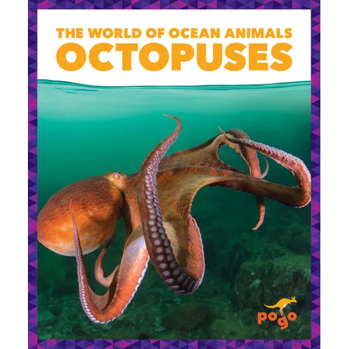 Octopuses