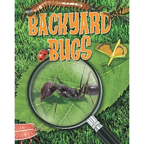 Backyard Bugs