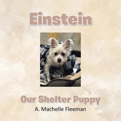 Einstein - Our Shelter Puppy