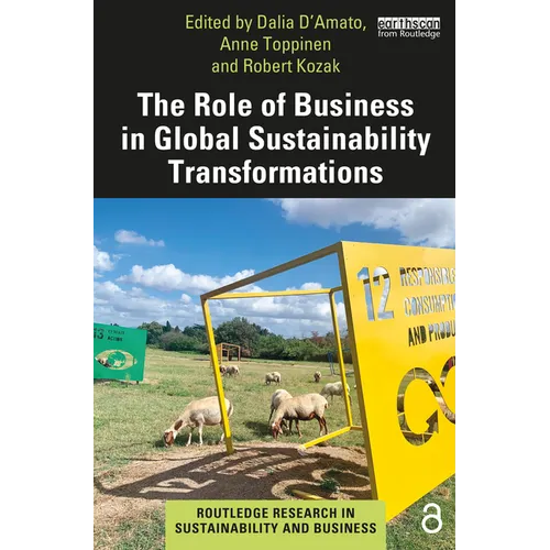 The Role of Business in Global Sustainability Transformations
