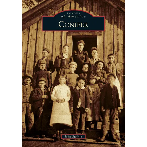 Conifer
