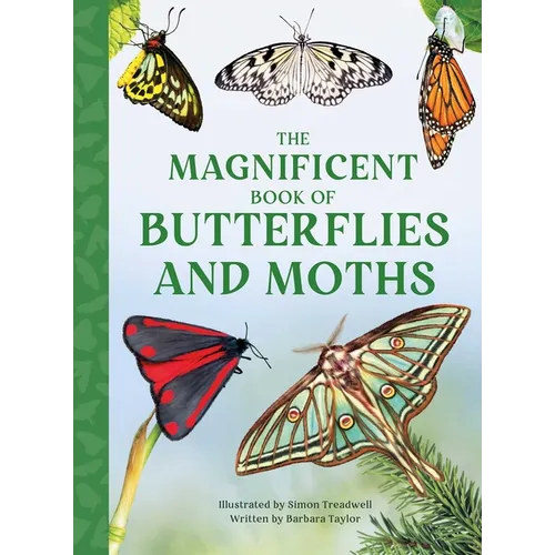 The Magnificent Book of Butterflies & Moths