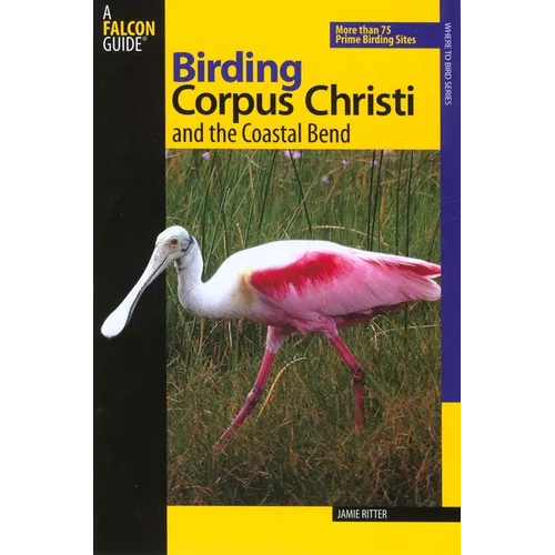 Birding Corpus Christi and the Coastal Bend