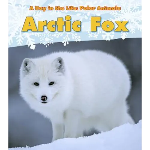 Arctic Fox