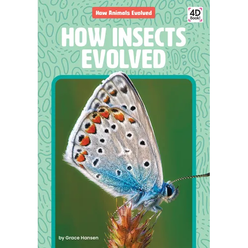 How Insects Evolved