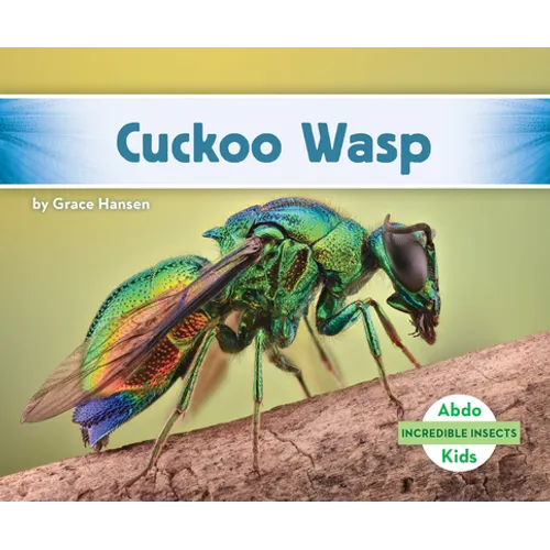 Cuckoo Wasp