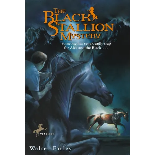 The Black Stallion Mystery