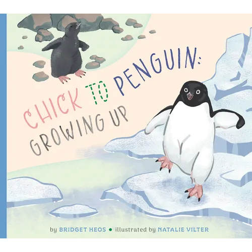Chick to Penguin: Growing Up
