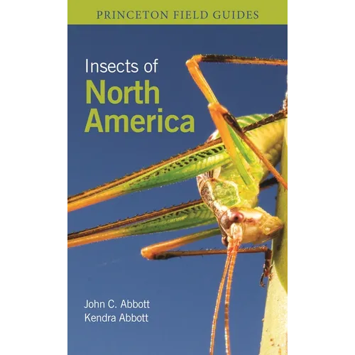 Insects of North America