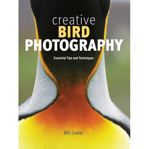 Creative Bird Photography: Essential Tips and Techniques