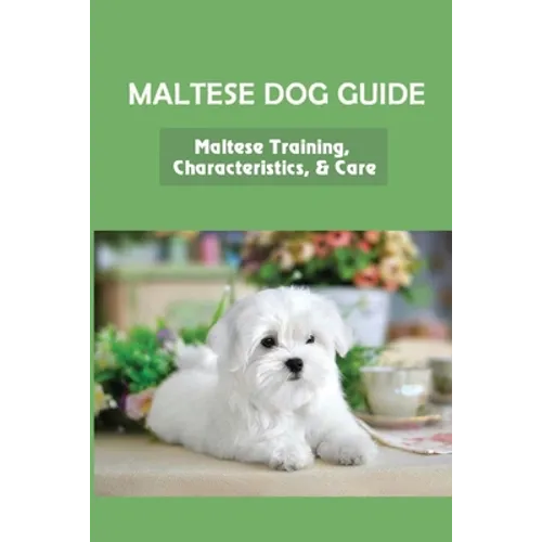 Maltese Dog Guide: Maltese Training, Characteristics, & Care: Alpha Dog For Maltese Dog