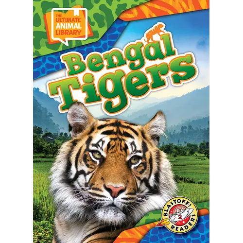 Bengal Tigers