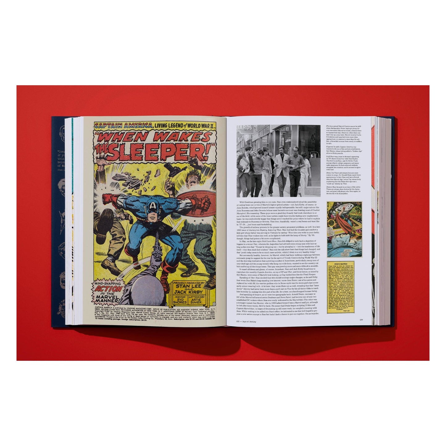 The Stan Lee Story (English) Book