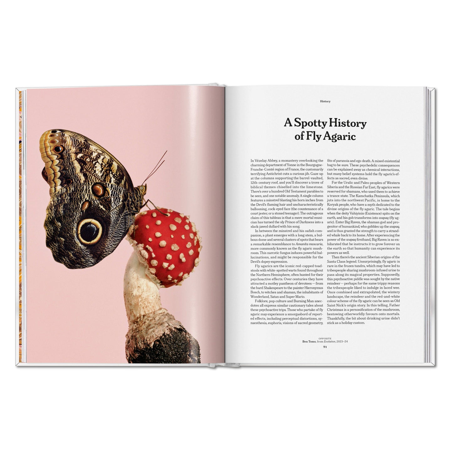 The Gourmand's Mushroom. A Collection of Stories and Recipes (English) Book