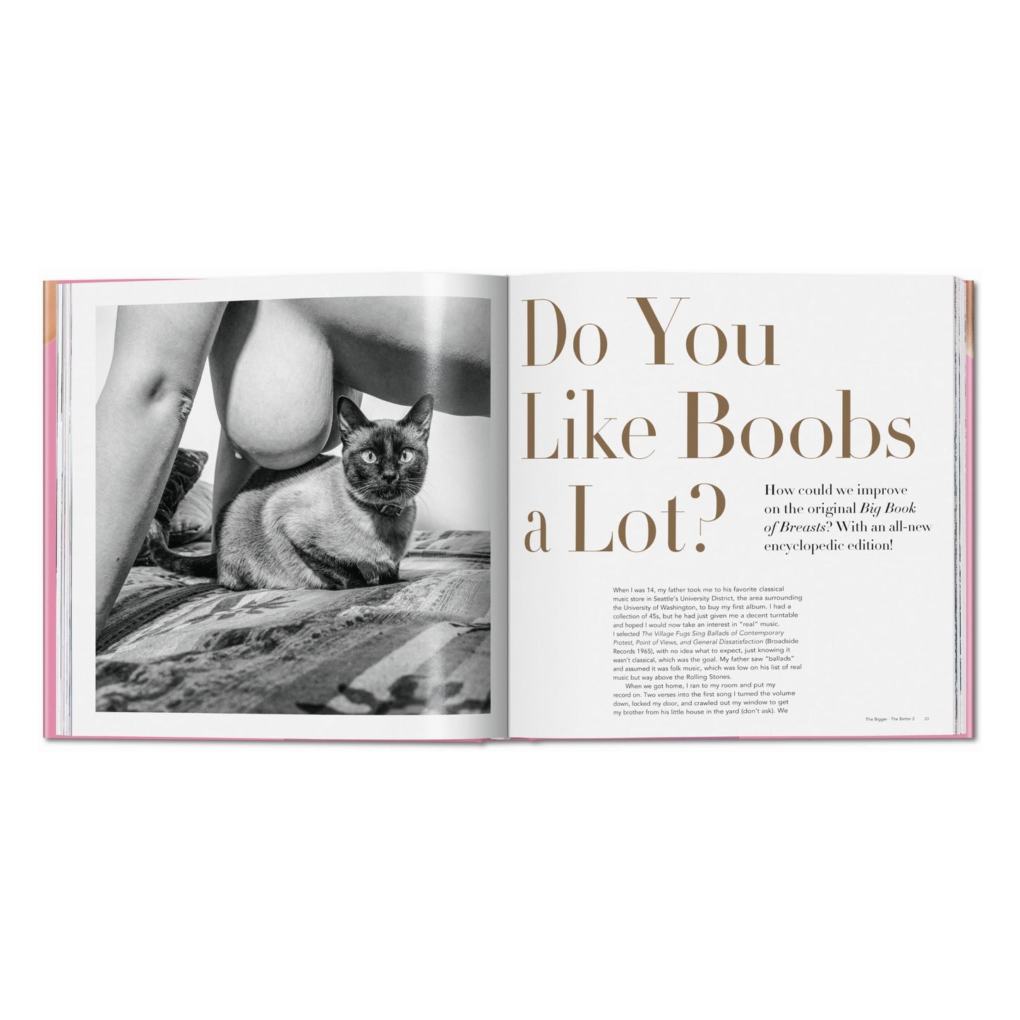 The Bigger Book of Breasts (English) Book