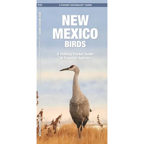 New Mexico Birds: A Folding Pocket Guide to Familiar Species