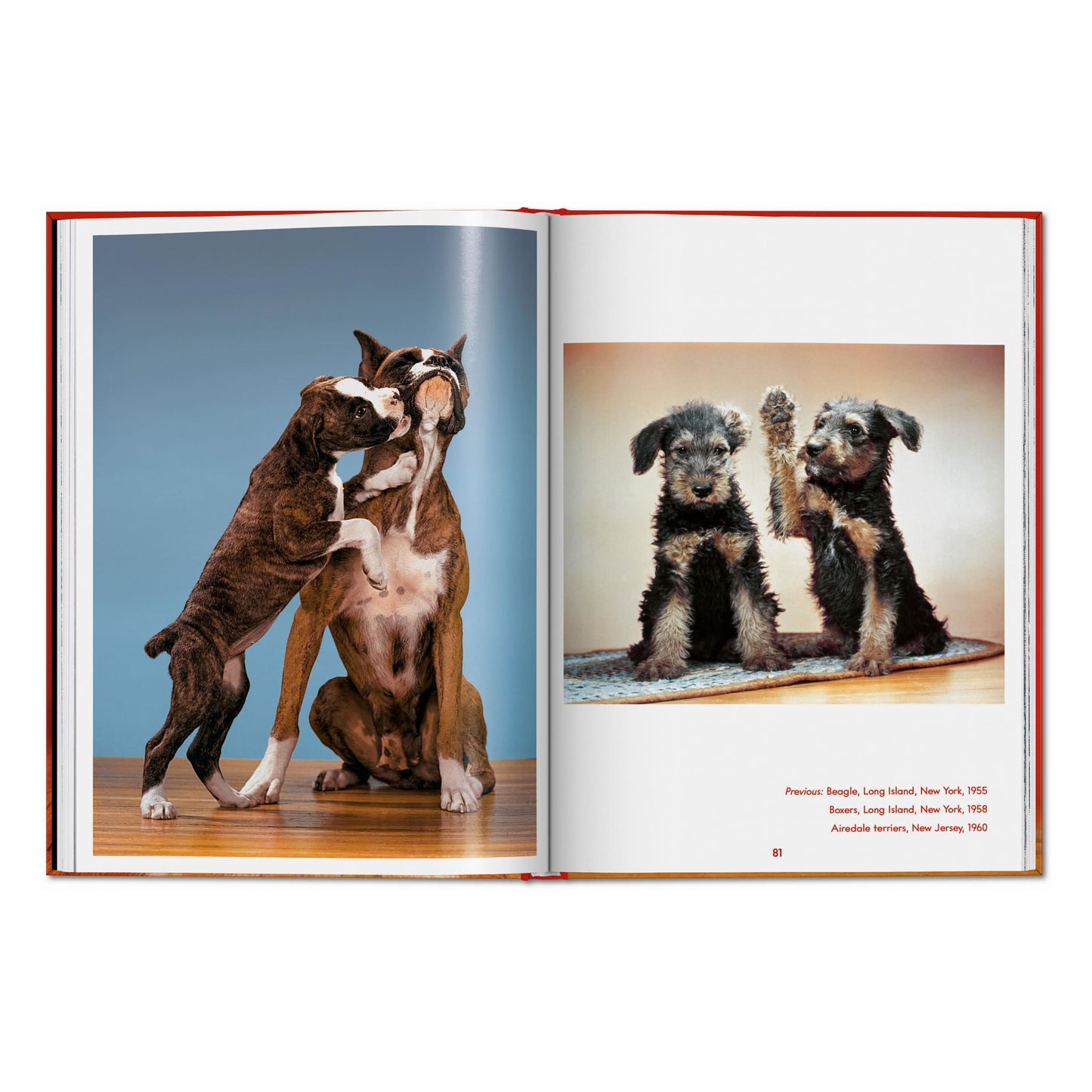 Walter Chandoha. Dogs. Photographs 1941–1991 (English) Book