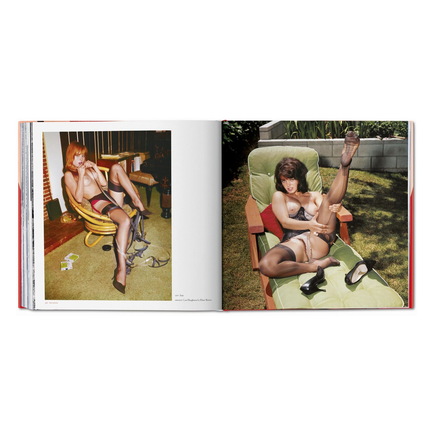 The Big Book of Legs (German, French, English) Book
